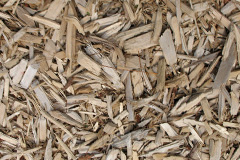 biomass boilers Treningle