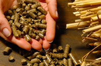 free Treningle biomass boiler quotes